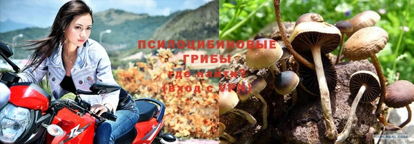 apvp Бронницы