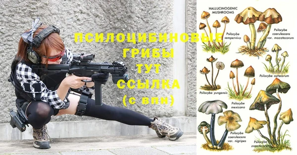 твердый Верхний Тагил