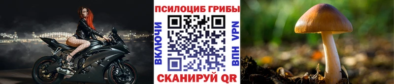 mega онион  Славянск-на-Кубани  Галлюциногенные грибы прущие грибы 