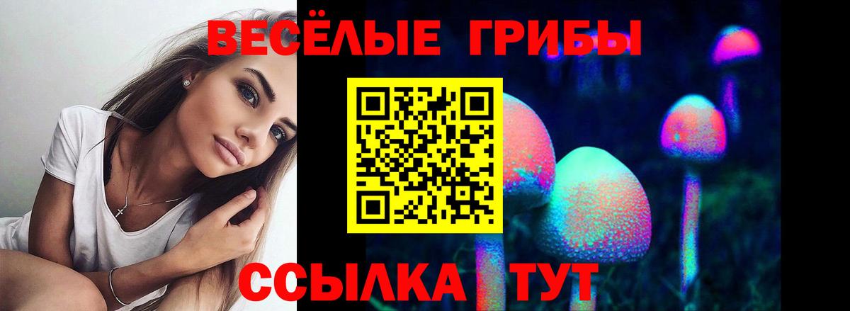 Славянск-на-Кубани  Псилоцибиновые грибы GOLDEN TEACHER  Вход с VPN 
